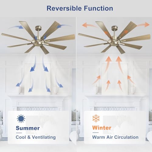 Large Ceiling Fan with Lights 60 Inch, Remote Control, Dimmable LED, Indoor Modern, Black and Gold S954