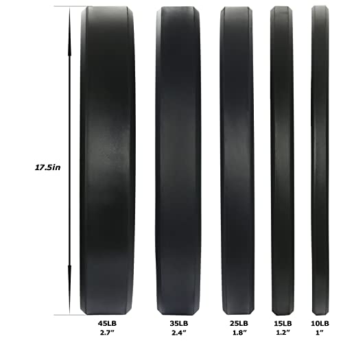 Olympic Bumper Weight Plate with Steel Insert T110
