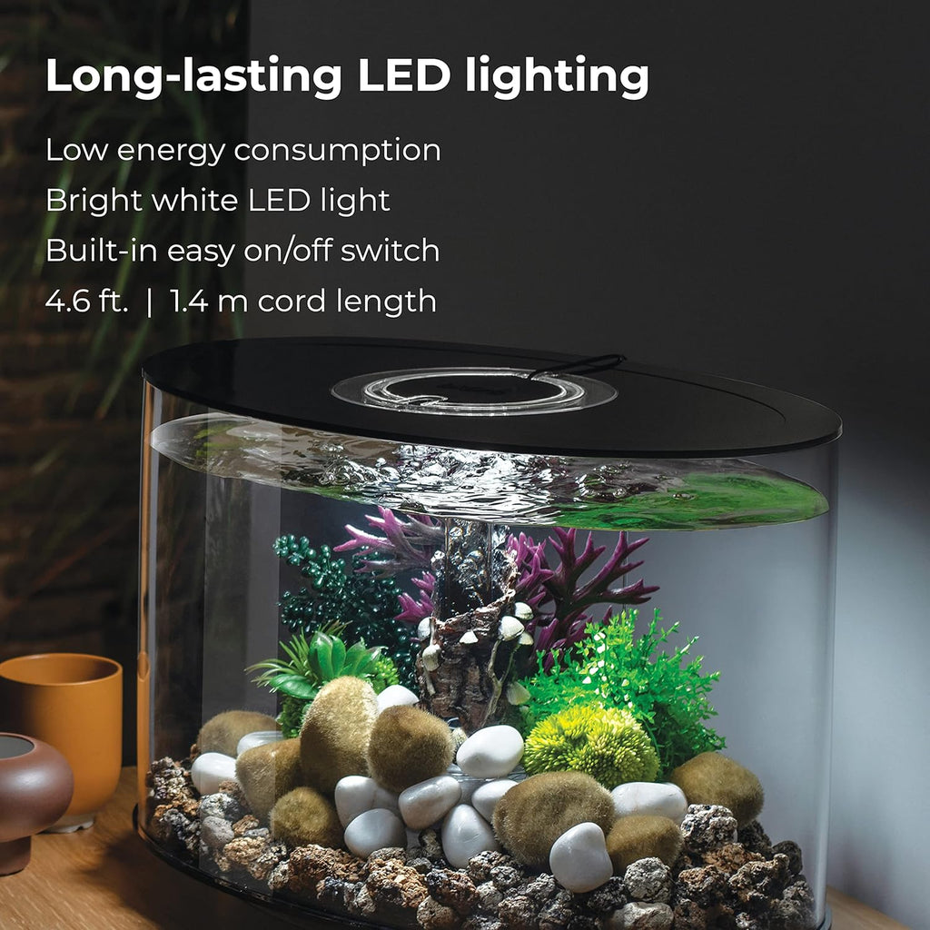 Acrylic 4-Gallon Aquarium with White LED Lights, Black Trim W64526