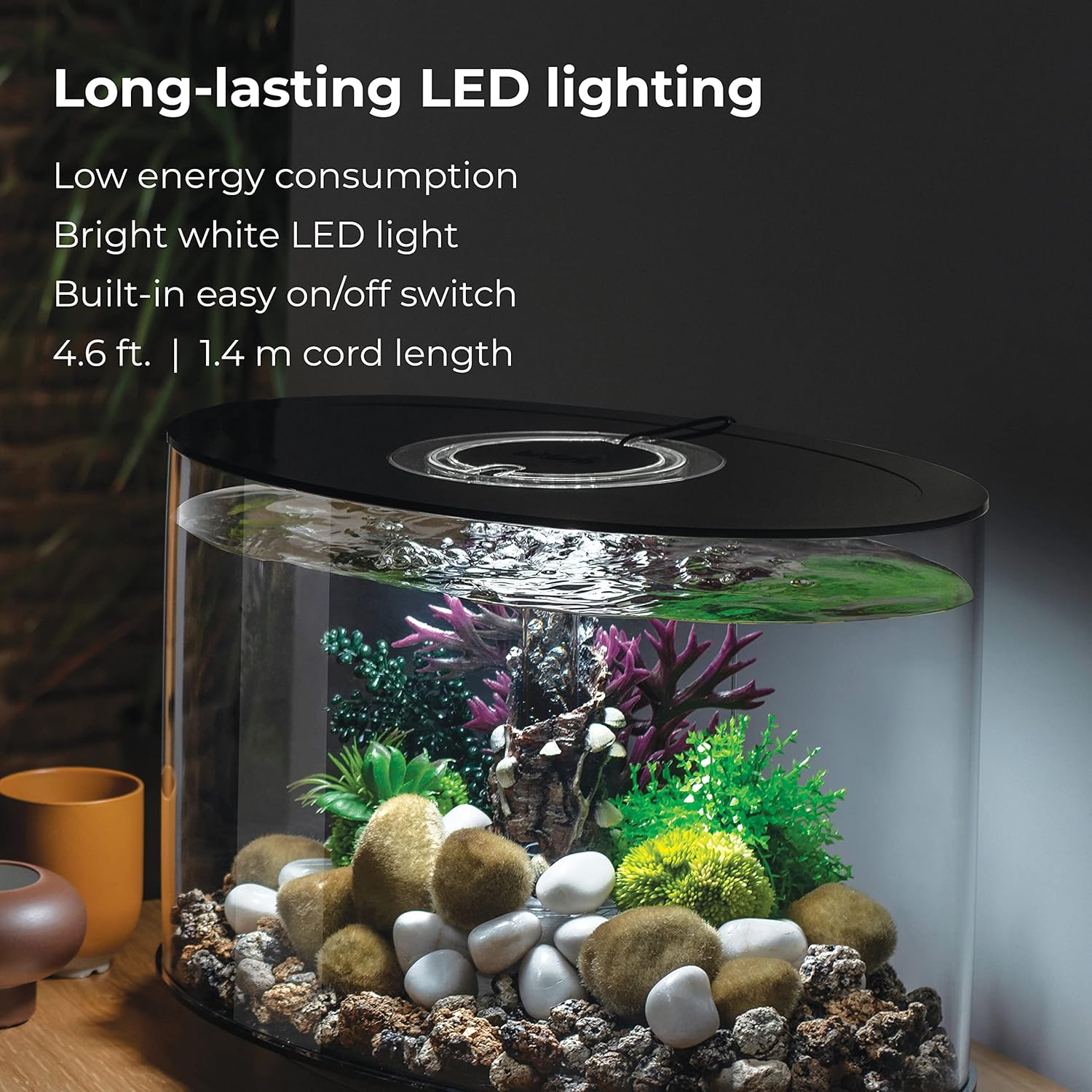 Acrylic 4-Gallon Aquarium with White LED Lights, Black Trim W64526