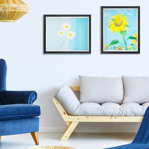 Shadow Box Frame 11 x 14in with Adhesive Tape, Black S782