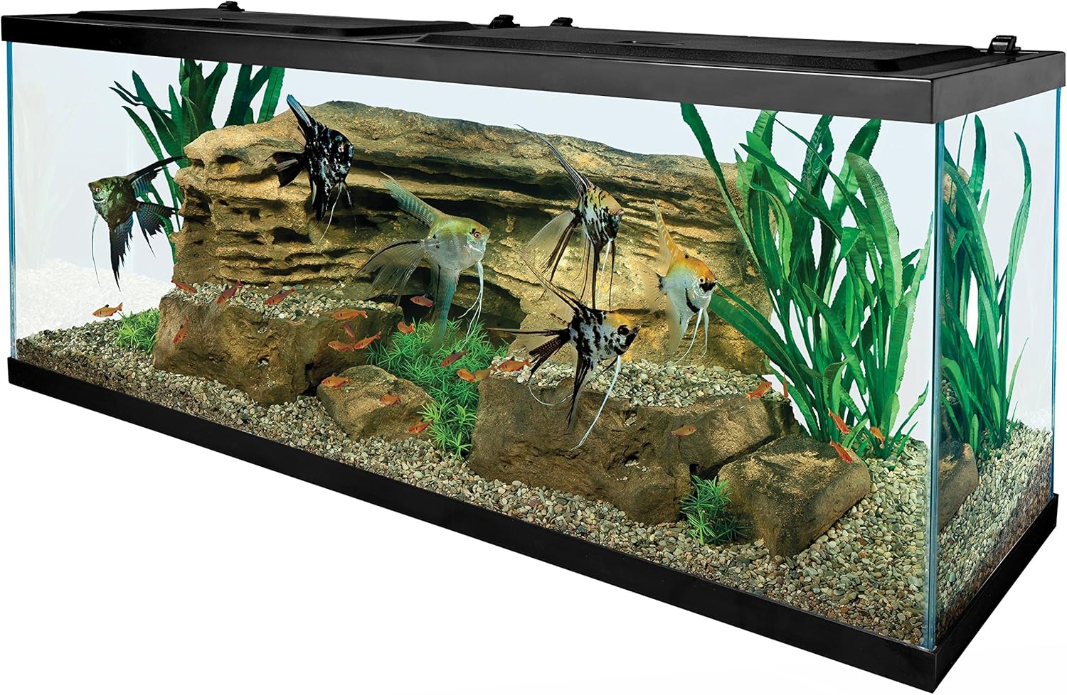 55 Gallon Aquarium Kit with Fish Tank, Filter, Heater, and Water Conditioners C47886
