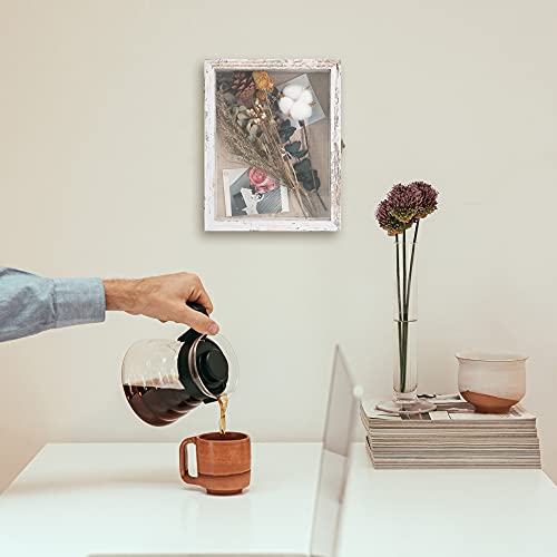 Shadow Box Frame 11x14 Display Case with Glass Door P350
