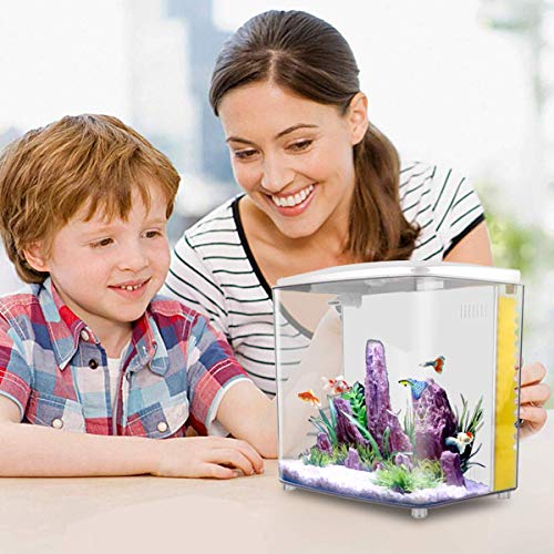 1.2 Gallon Betta Aquarium Starter Kit with LED Light and Filter Pump Q515
