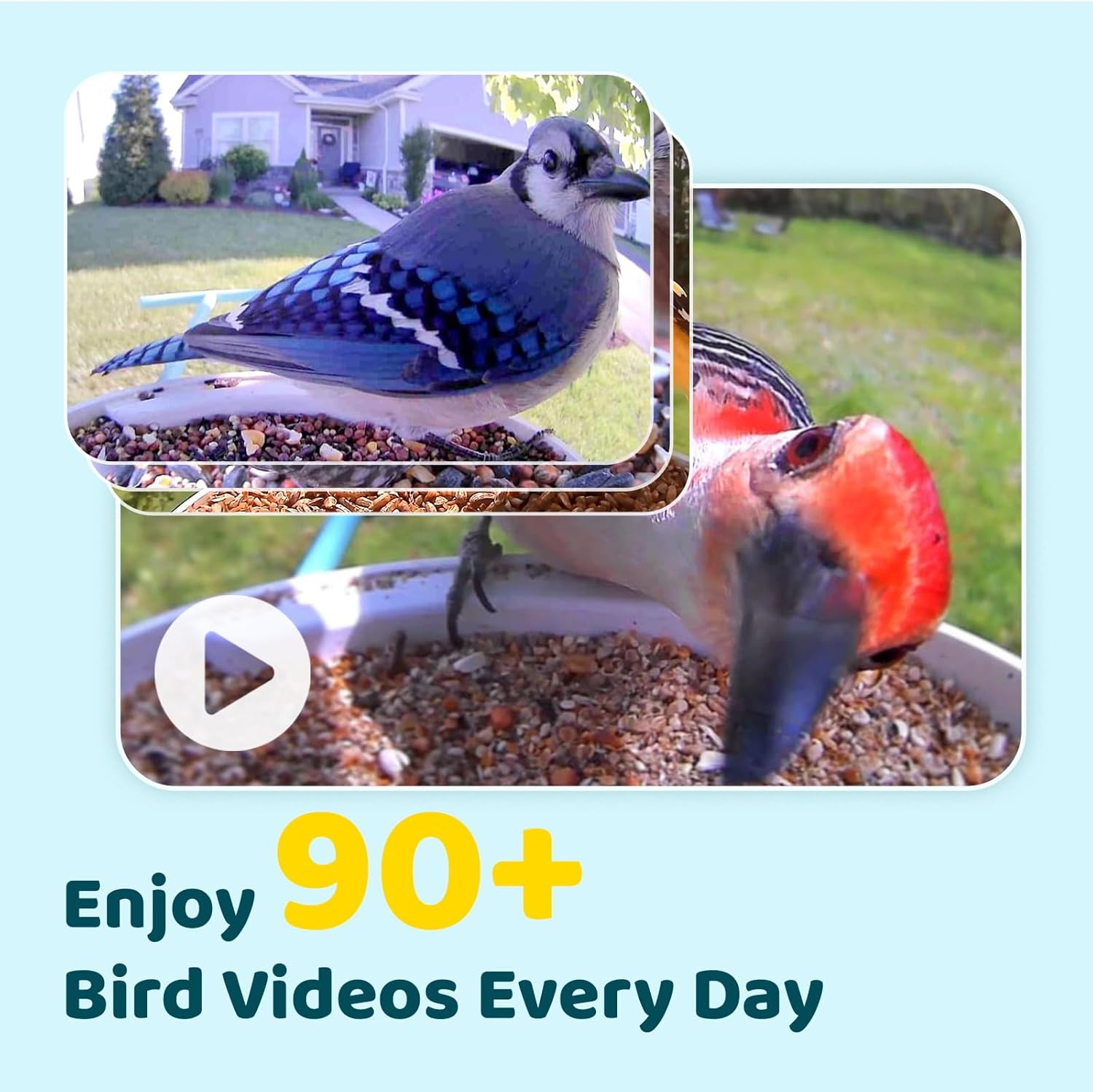 Smart Bird Feeder with Camera and Solar Panel B102406