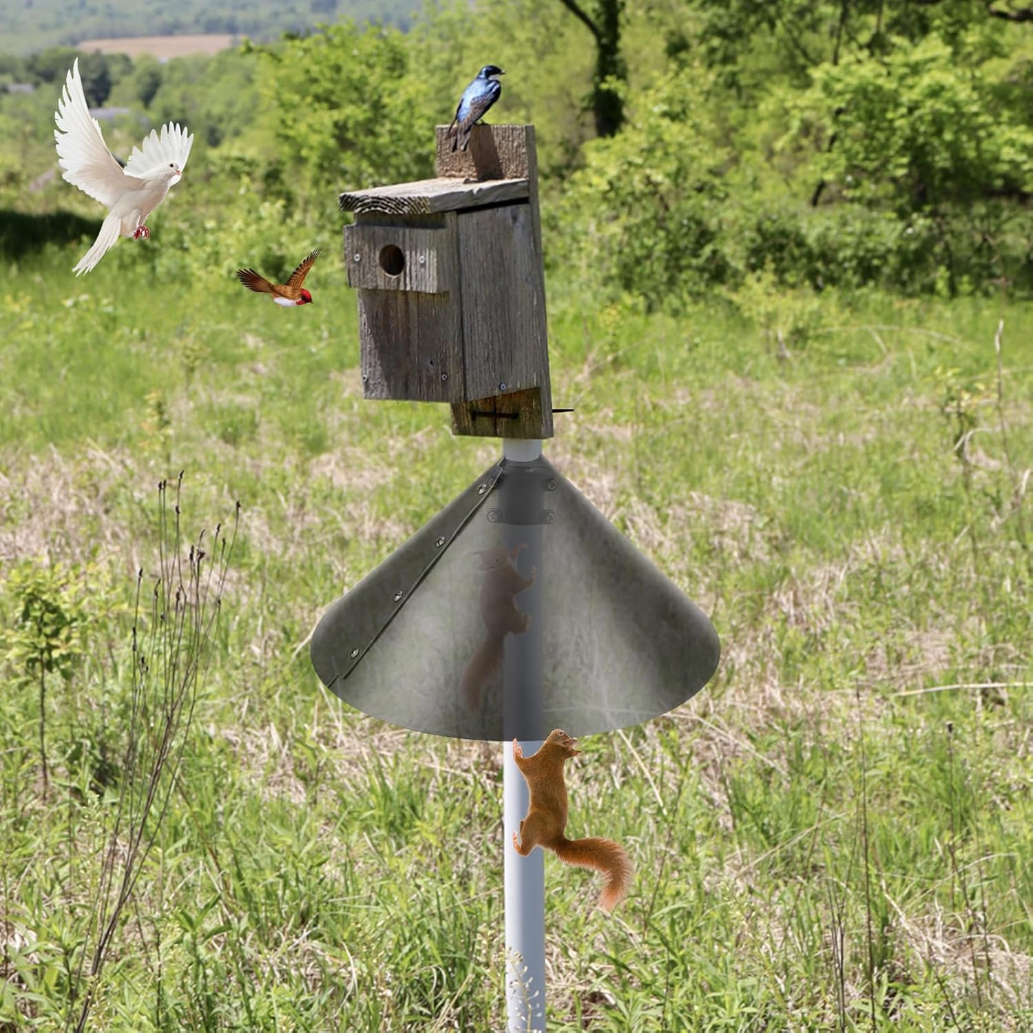 Squirrel Baffle Accessory for Bird Feeder Pole, Pole Mounted Stopper for Birdhouse L399360