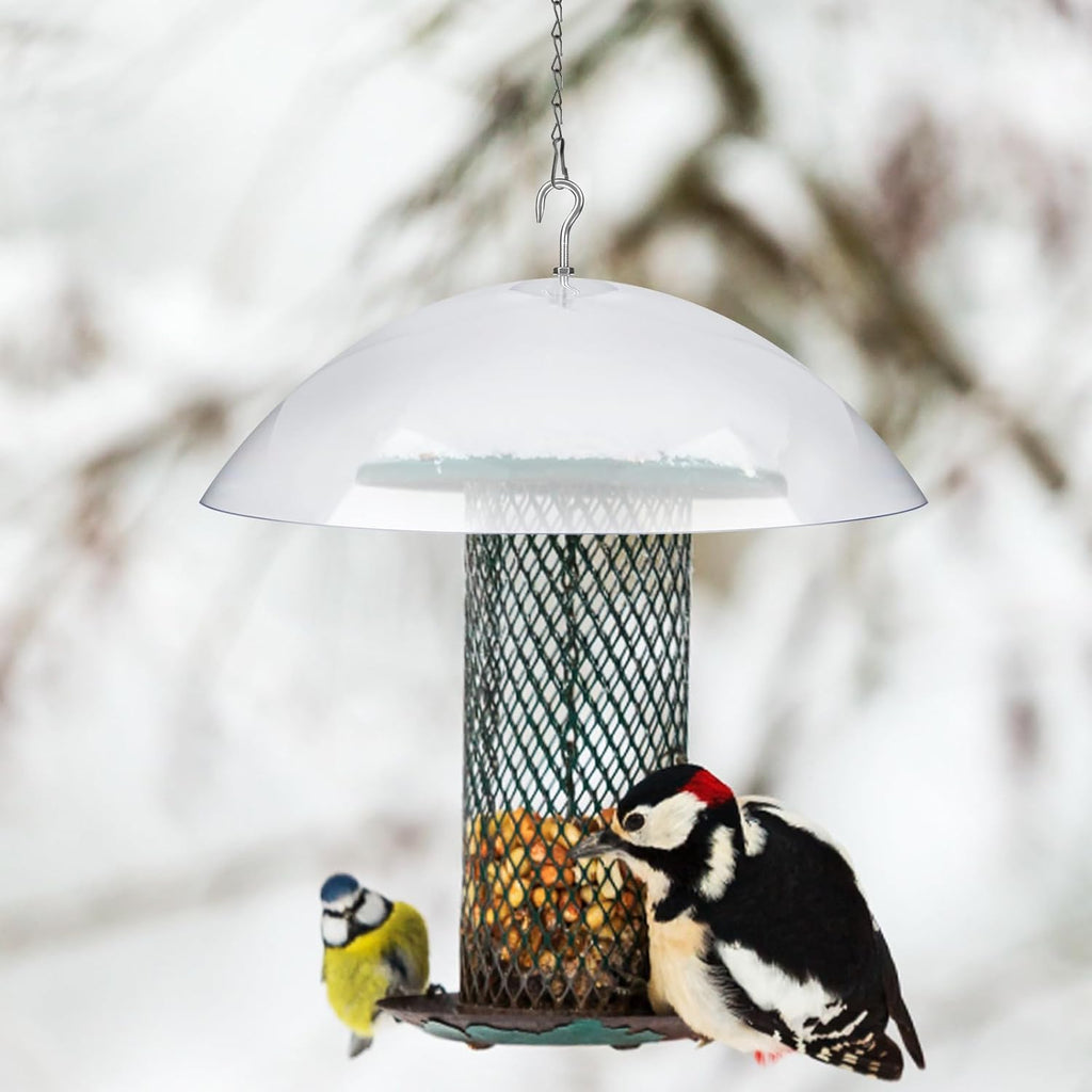 Bird Feeder Protective Dome Cover with Chains for Outdoor Hanging R555