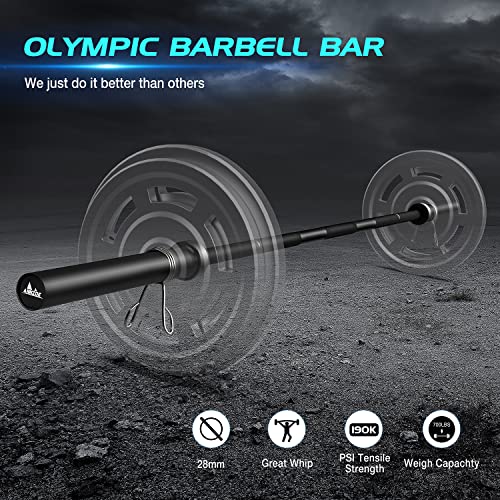 7-Foot Olympic Barbell Bar, 700 lbs Capacity, Solid Iron Straight Weightlifting Bar Y343147