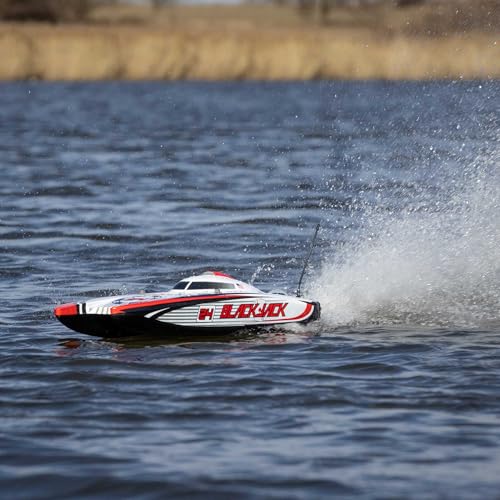 Brushless Catamaran Boat 24" RTR N6983