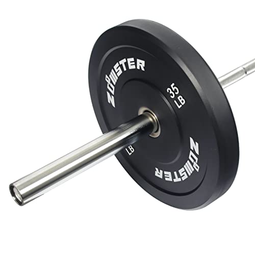 Olympic Bumper Weight Plate with Steel Insert T110