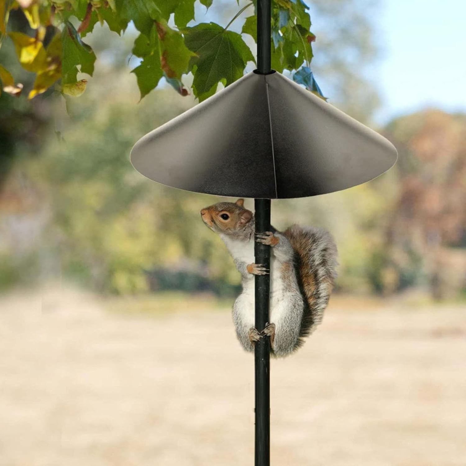 Plastic Squirrel Baffle for Bird Feeders, 16 inches U278006