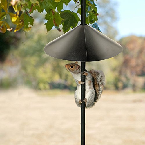Squirrel Baffle 18-Inch, Black C480