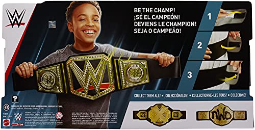 Championship Title Belt for Kids W235