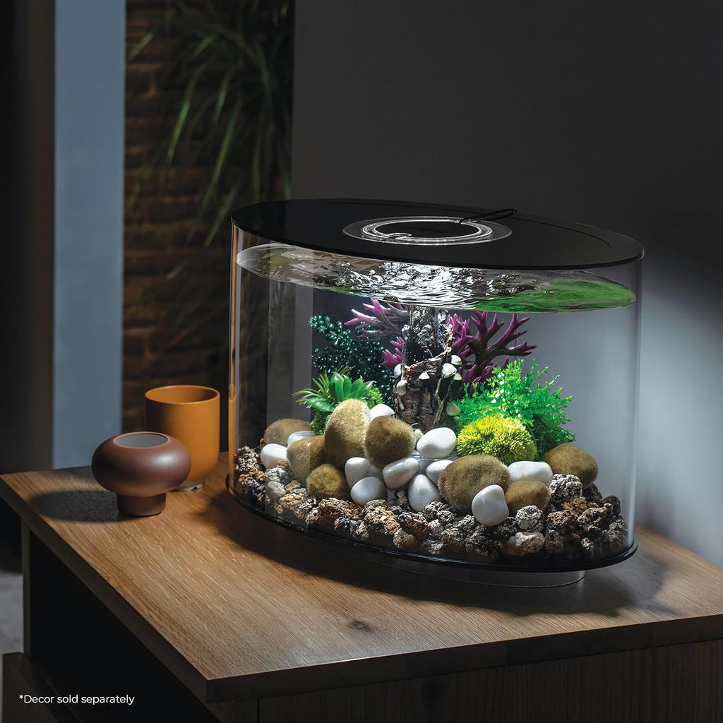 Acrylic 4-Gallon Aquarium with White LED Lights, Black Trim W64526