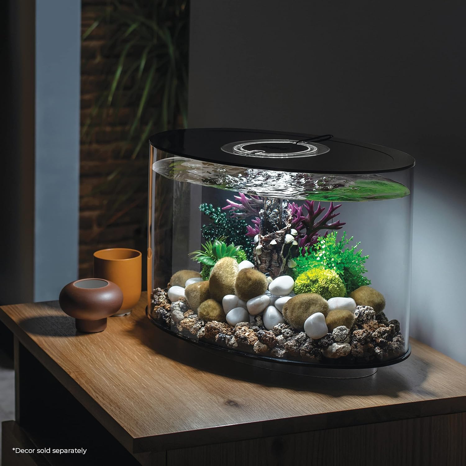 Acrylic 4-Gallon Aquarium with White LED Lights, Black Trim W64526