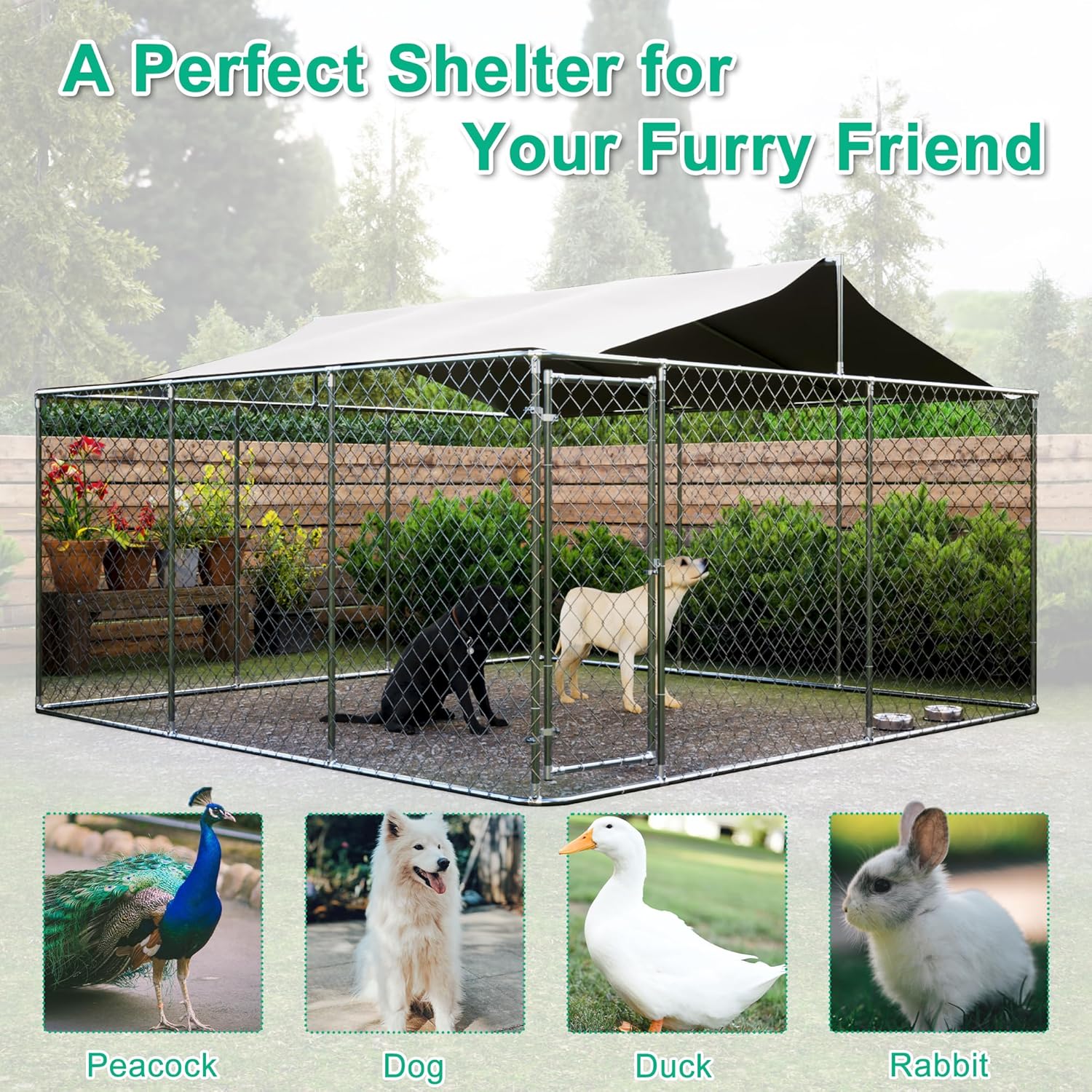 Outdoor Dog Kennel with Roof, Chain Link Enclosure Pen H159
