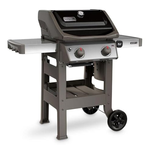 2-Burner Liquid Propane Grill, Black R230