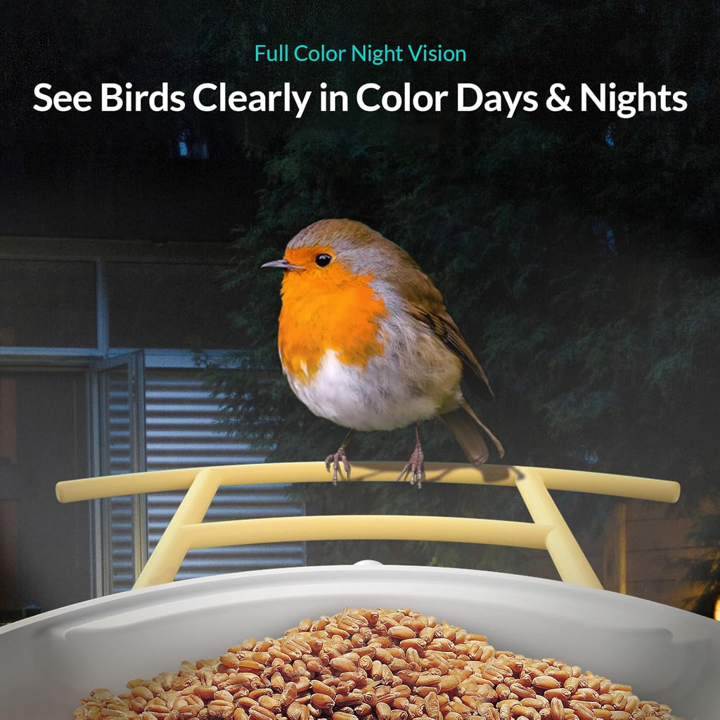 Bird Camera with Solar Panel and Perch X143