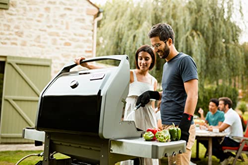 3-Burner Liquid Propane Grill, Black U4161