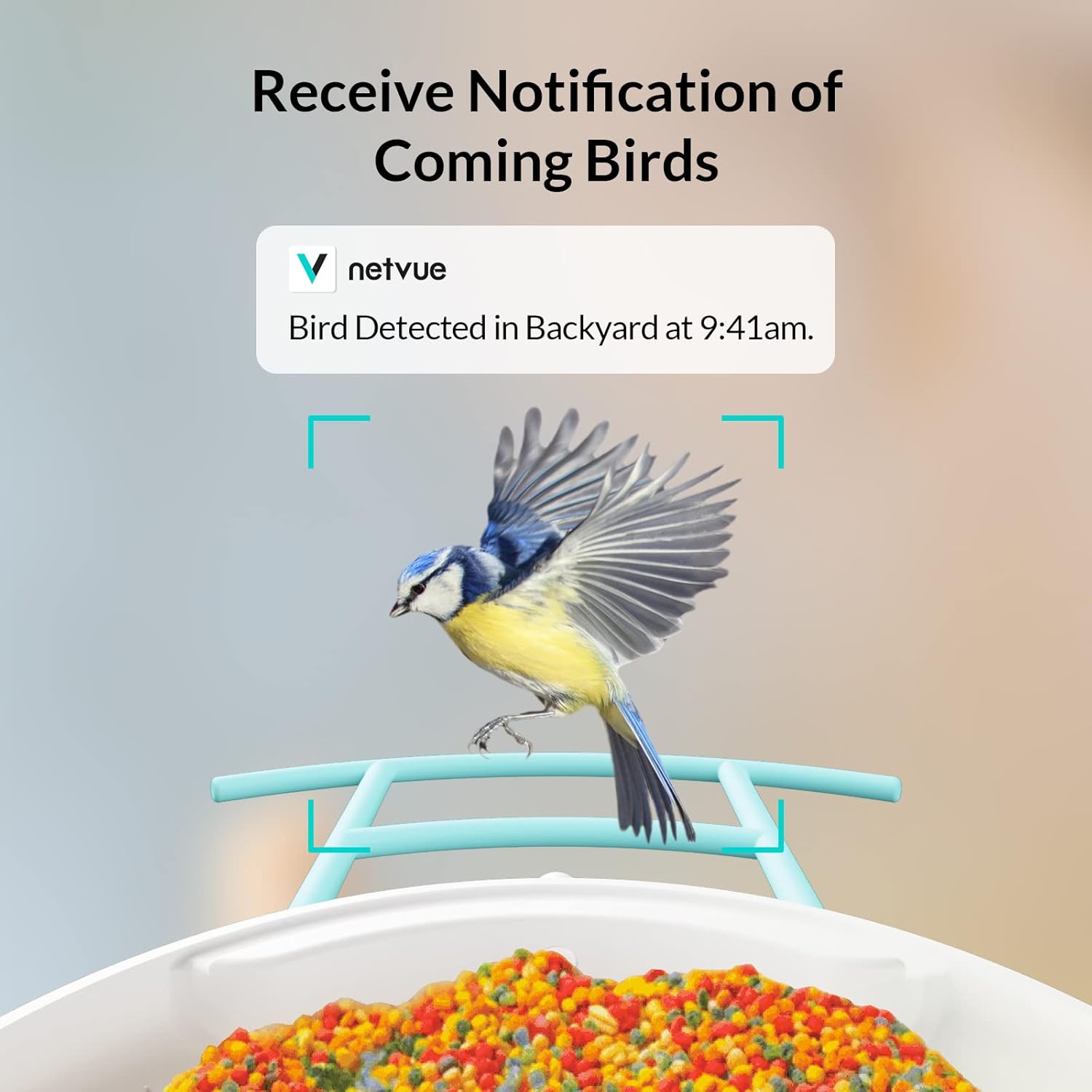 Bird Feeder Camera with Solar Power and Perch Extension S895940