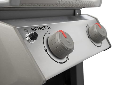 2-Burner Liquid Propane Grill, Black R230