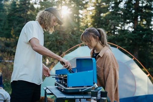 Portable 2-Burner Propane Camping Stove P70525