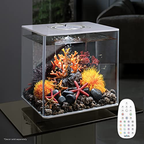 Acrylic 8-Gallon Aquarium with Remote-Controlled LED Lights, Black S5784