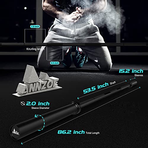 7-Foot Olympic Barbell Bar, 700 lbs Capacity, Solid Iron Straight Weightlifting Bar Y343147