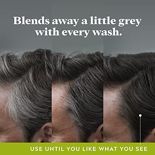 Thickening 2-in-1 Shampoo and Conditioner with Grey Reduction C54246